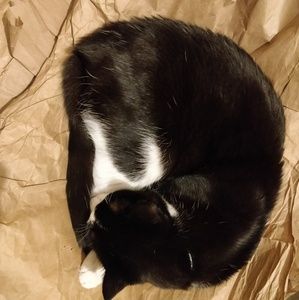 Meet your Posher, Katelyn